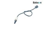 Lambda Sonde Honda ST 125 Dax 2022- (JB04A), Verzenden, Gebruikt