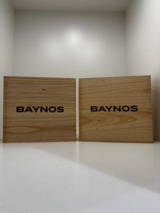 2020 Bodegas Mauro, Baynos - Rioja - 6 Flessen (0.75 liter), Verzamelen, Wijnen