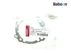 Pakking Ducati 916 Cylinder base Multiple in stock, Motoren, Verzenden, Gebruikt
