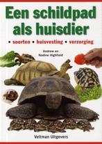 Een schildpad als huisdier 9789048302543, Boeken, Dieren en Huisdieren, TextCase, Nadine Highfield, Zo goed als nieuw, Verzenden