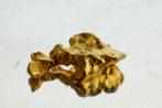 Goud Natif, goudklompje uit Suriname of Franse Guyana, Collections