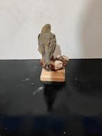 Prispolone indiano Taxidermie volledige montage - Anthus, Verzamelen, Dierenverzamelingen, Nieuw