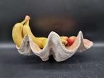Saladier - MGO - Coquille de clam gigante
