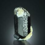 Belle tourmaline SCHORL avec orthoclase dErongo, Namibie.