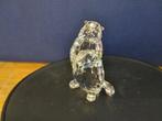 Swarovski - Figurine - Marmot - 289305 - Cristal