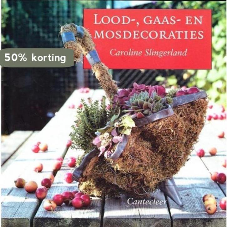 LOOD-, GAAS- EN MOSDECORATIES 9789021330785 C. Slingerland, Boeken, Hobby en Vrije tijd, Gelezen, Verzenden