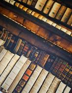 Stof met realistische antieke bibliotheek! Vintage retro