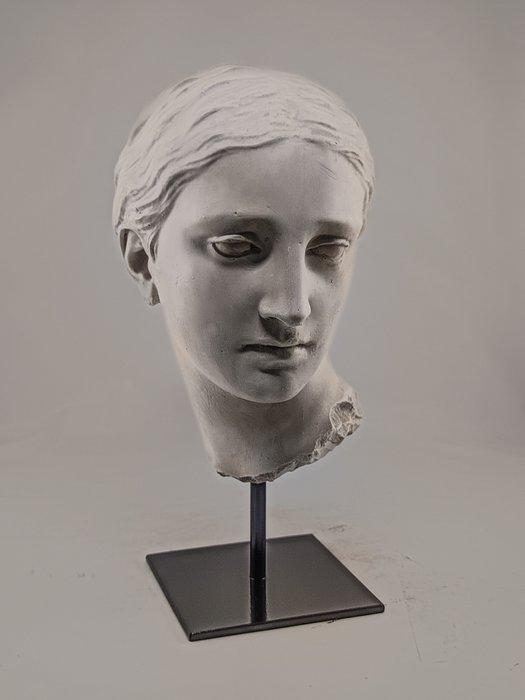 sculptuur, Testa in gesso di Venere - 25 cm - Gips, Antiek en Kunst, Curiosa en Brocante
