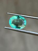 1 pcs  Vert Émeraude  - 1.61 ct, Nieuw