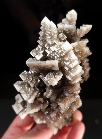 Halite Groupe de cristal - Hauteur : 14 cm - Largeur : 7 cm-