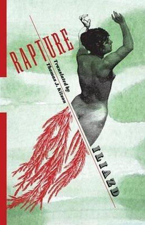 Rapture 9780231180832 Iliazd, Boeken, Overige Boeken, Zo goed als nieuw, Verzenden