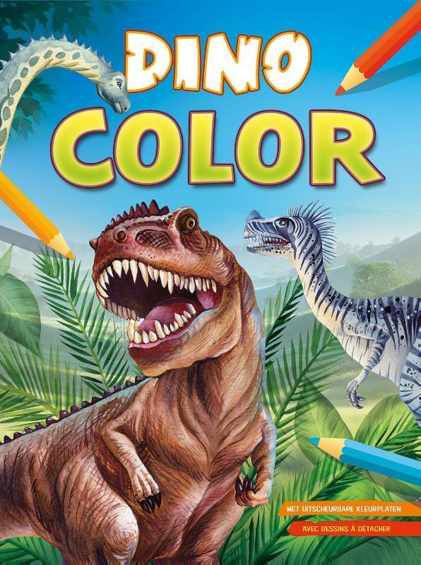 Dino Color kleurblok / Dino Color Bloc de coloriage ZNU, Boeken, Overige Boeken, Zo goed als nieuw, Verzenden