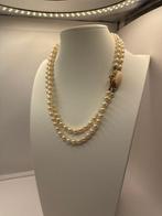 Choker halsketting - 18 karaat Geel goud Parel - Parel