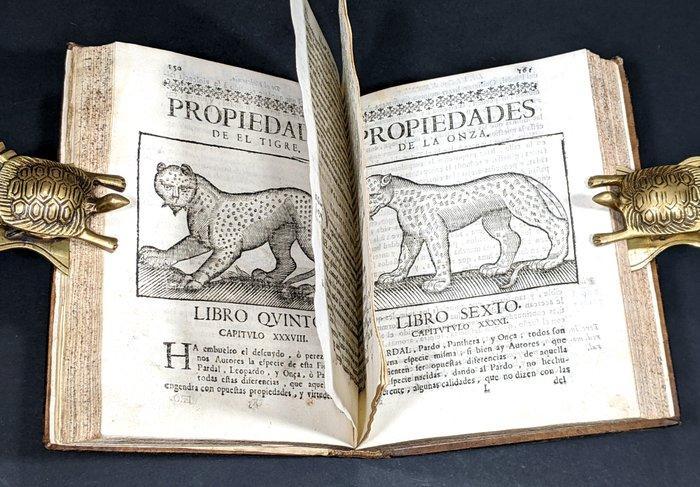 Andrés Ferrer de Valdecebro - Govierno general, moral y, Antiek en Kunst, Antiek | Boeken en Manuscripten