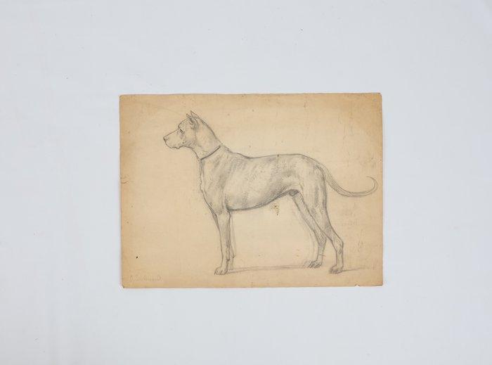Otto Eerelman (1839-1926) - Schets van een hond, Antiek en Kunst, Kunst | Schilderijen | Klassiek