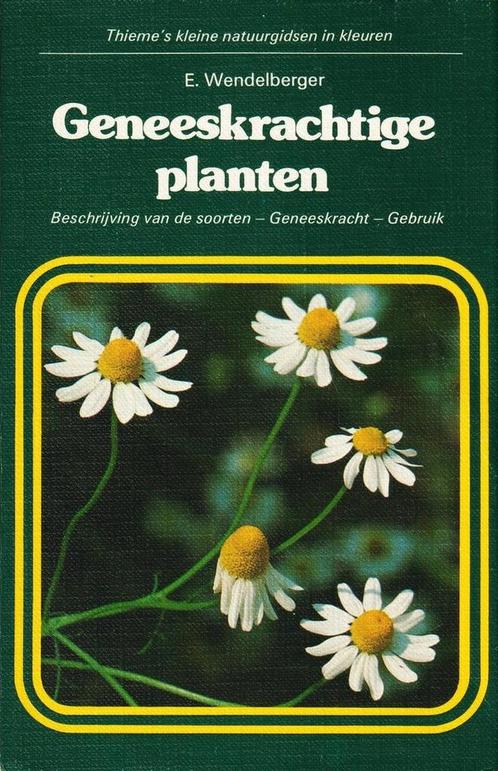 Geneeskrachtige planten 9789003965905 Wendelberger, Boeken, Wetenschap, Gelezen, Verzenden