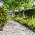 vidaXL Gazonranden 50 st 10x103 cm koudgewalst staal, Tuin en Terras, Bielzen en Borduren, Verzenden, Nieuw