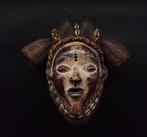 Superbe - masker - Punu - Gabon (Zonder minimumprijs)