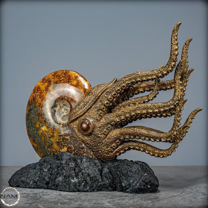 Natuurlijke ammoniet verbonden met meesterschap Kunst-, Verzamelen, Mineralen en Fossielen