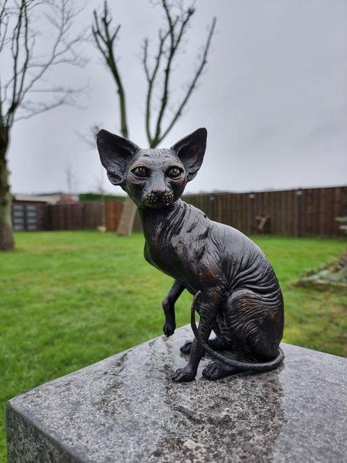 Beeld, Bronze Sphynx Cat Hand-Crafted - 21.5 cm - Brons -, Antiek en Kunst, Curiosa en Brocante