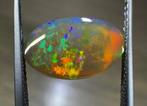 2,81ct Opaal Cabochon- 0.56 g, Verzamelen