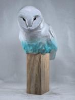 Federico Alibrio - Blue Barn owl