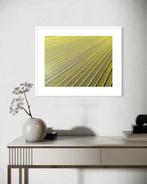 Fabio Accorrà - The yellow