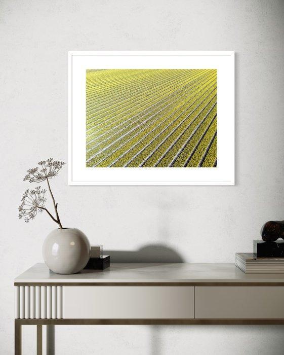 Fabio Accorrà - The yellow, Antiquités & Art, Art | Objets design