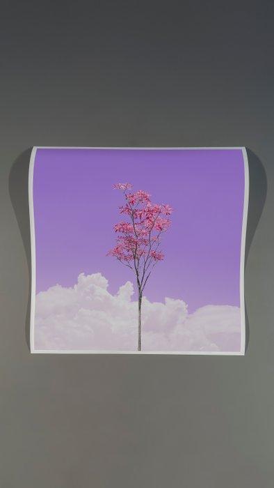 Téber - Lavender Rosé Sangria Foliage · No Reserve, Antiek en Kunst, Kunst | Designobjecten