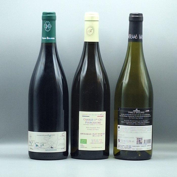 2019 Domaine Henri Gouges Nuits Saint Georges 2022, Verzamelen, Wijnen