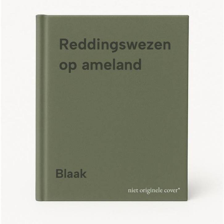 Reddingswezen op ameland 9789069500287 Blaak, Boeken, Overige Boeken, Gelezen, Verzenden