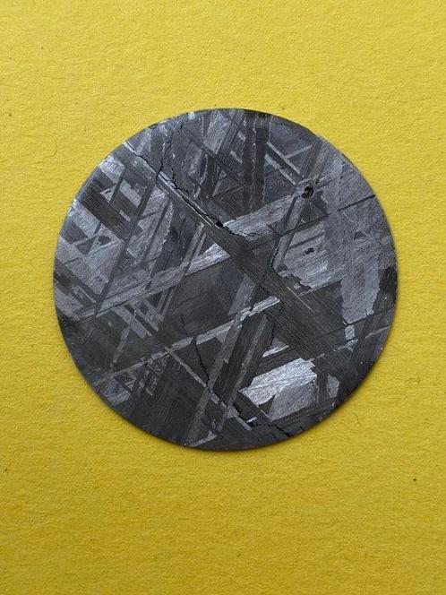 Muonionalusta meteoriet IJzer meteoriet - Hoogte: 37 mm -, Verzamelen, Mineralen en Fossielen
