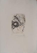Salvador Dali (1904-1989) - Décaméron : Lenfer des beautés