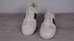 Gucci - Ace Bee - Sneakers - Maat: EU 37, Kleding | Heren, Nieuw
