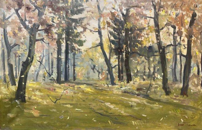 Europese school (XX) - Whispers of Autumn Light - NO RESERVE, Antiek en Kunst, Kunst | Schilderijen | Klassiek