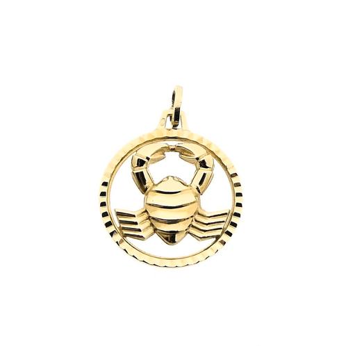 Gouden sterrenbeeld hanger; Kreeft (geelgoud, astrologie), Handtassen en Accessoires, Bedels, Gebruikt, Overige merken, Goud, Ophalen of Verzenden