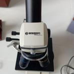 Monocular compound microscope - BioLux AL 20x-1280x -