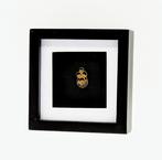 Beatles - THE BEATLES - Originele vintage slagpin - jaren, Nieuw in verpakking