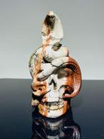 Zeer mooie Jasper Skull - realistisch - AAA++ kwaliteit