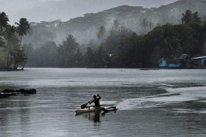 Alessandro Gandolfi - Polynesia #3, Antiek en Kunst, Kunst | Designobjecten