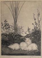 Jan Mankes (1889-1920), naar - Vier muizen in ‘t veld, Antiek en Kunst