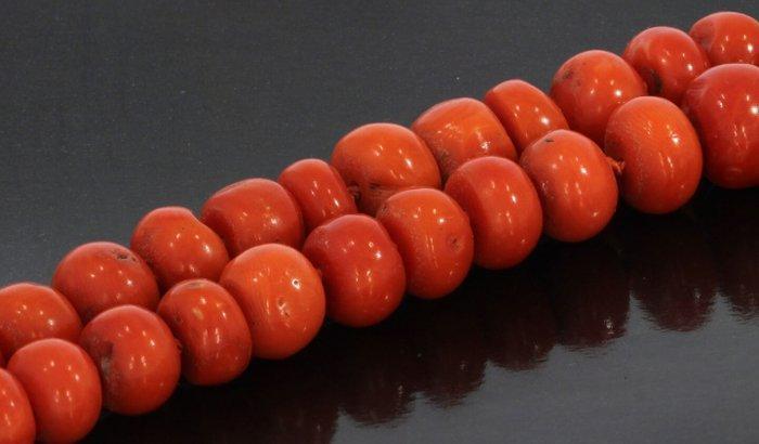 Ketting - 14 karaat Geel goud Bloedkoraal - Kaasjes kralen, Handtassen en Accessoires, Antieke sieraden