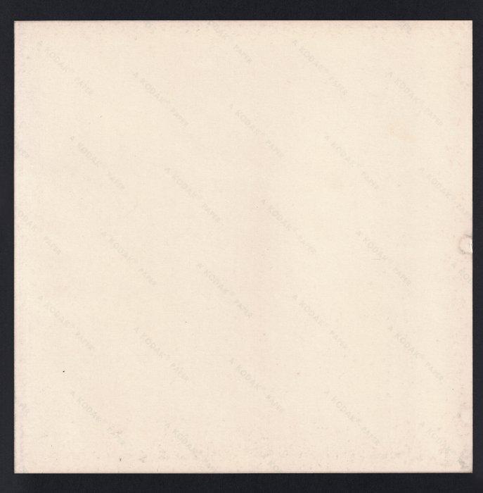 Photo by Astronaut Neil A. Armstrong - 1969 Apollo 11 - Buzz, Antiek en Kunst, Kunst | Schilderijen | Modern