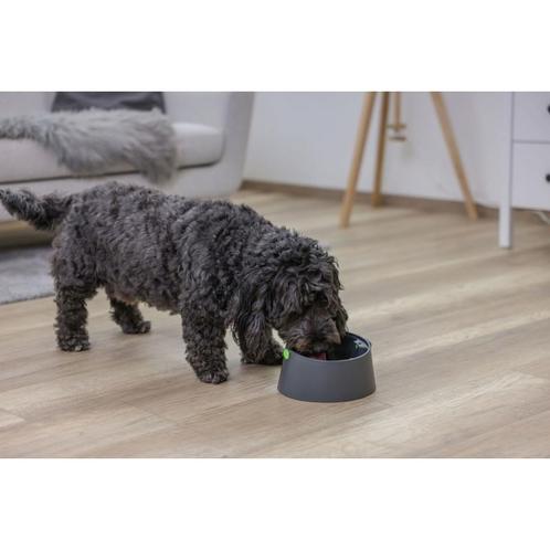 Multifeeder basis 3in1, snack ball, food bar, lick plate -, Dieren en Toebehoren, Overige Dieren-accessoires, Nieuw