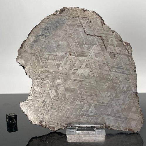 Météorite de Muonionalusta Météorite métallique - Lignes, Collections, Minéraux & Fossiles