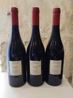 2020 Domaine Guiberteau Les Chapaudaises - Saumur - 3