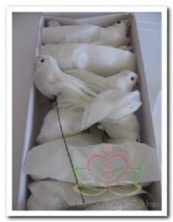 Witte vogeltjes +/- 11 cm. / doosje 12 stuks vogeltje, Hobby en Vrije tijd, Knutselen, Nieuw