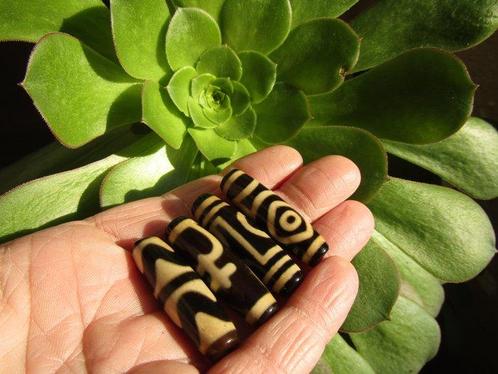4 Ivory DZI - Tiger Tooth, Treasure Vase, Heaven & Earth, 1, Verzamelen, Mineralen en Fossielen
