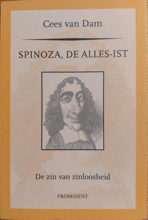 Spinoza de Alles-ist   de zin van zinloosheid 9789079272426, Boeken, Filosofie, Gelezen, Verzenden