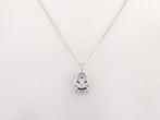Zonder Minimumprijs - Ketting met hanger - 14 karaat Witgoud